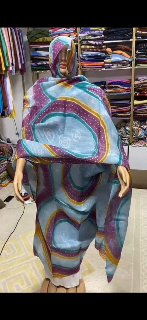 بير تورس مدبي