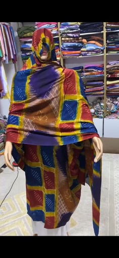 بير تورس مدبي